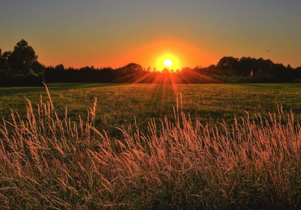 Picture of Open Field symbolizing Open Consciousness